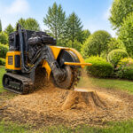 Desouchage dans un jardin soigne